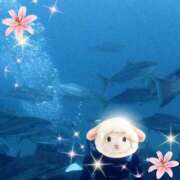 ヒメ日記 2025/11/23 19:55 投稿 花奈美（かなみ） 熟女の風俗最終章 大宮店