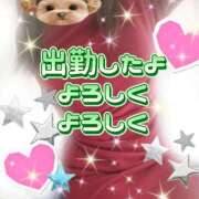 ヒメ日記 2025/11/26 12:35 投稿 花奈美（かなみ） 熟女の風俗最終章 大宮店