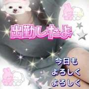 ヒメ日記 2025/11/28 10:15 投稿 花奈美（かなみ） 熟女の風俗最終章 大宮店