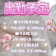 ヒメ日記 2025/11/29 19:20 投稿 花奈美（かなみ） 熟女の風俗最終章 大宮店