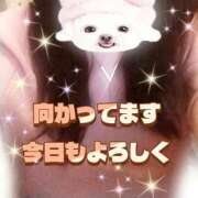 ヒメ日記 2025/12/02 18:54 投稿 花奈美（かなみ） 熟女の風俗最終章 大宮店