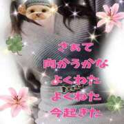 ヒメ日記 2025/12/05 18:15 投稿 花奈美（かなみ） 熟女の風俗最終章 大宮店