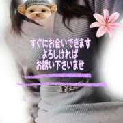 ヒメ日記 2025/12/06 20:25 投稿 花奈美（かなみ） 熟女の風俗最終章 大宮店