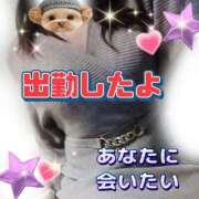 ヒメ日記 2025/12/08 19:45 投稿 花奈美（かなみ） 熟女の風俗最終章 大宮店