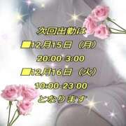 ヒメ日記 2025/12/11 02:17 投稿 花奈美（かなみ） 熟女の風俗最終章 大宮店