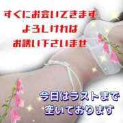 ヒメ日記 2026/01/03 15:15 投稿 花奈美（かなみ） 熟女の風俗最終章 大宮店