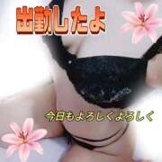 ヒメ日記 2026/01/05 10:05 投稿 花奈美（かなみ） 熟女の風俗最終章 大宮店