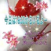 ヒメ日記 2026/01/12 18:15 投稿 花奈美（かなみ） 熟女の風俗最終章 大宮店
