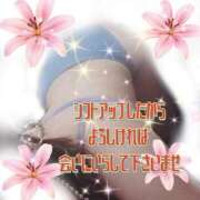 ヒメ日記 2026/02/20 03:05 投稿 花奈美（かなみ） 熟女の風俗最終章 大宮店