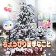 ヒメ日記 2026/02/20 03:55 投稿 花奈美（かなみ） 熟女の風俗最終章 大宮店