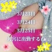 ヒメ日記 2026/03/21 03:05 投稿 花奈美（かなみ） 熟女の風俗最終章 大宮店