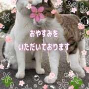 ヒメ日記 2026/04/05 13:05 投稿 花奈美（かなみ） 熟女の風俗最終章 大宮店