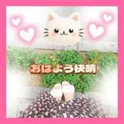 ヒメ日記 2026/05/18 09:25 投稿 花奈美（かなみ） 熟女の風俗最終章 大宮店