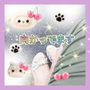 ヒメ日記 2026/05/20 12:11 投稿 花奈美（かなみ） 熟女の風俗最終章 大宮店
