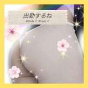 ヒメ日記 2026/05/23 09:15 投稿 花奈美（かなみ） 熟女の風俗最終章 大宮店
