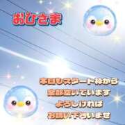 ヒメ日記 2026/06/01 09:45 投稿 花奈美（かなみ） 熟女の風俗最終章 大宮店
