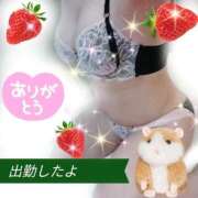 ヒメ日記 2026/06/30 09:45 投稿 花奈美（かなみ） 熟女の風俗最終章 大宮店