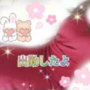 ヒメ日記 2026/07/01 09:05 投稿 花奈美（かなみ） 熟女の風俗最終章 大宮店