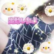 ヒメ日記 2026/07/02 11:15 投稿 花奈美（かなみ） 熟女の風俗最終章 大宮店