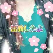 ヒメ日記 2026/07/08 10:25 投稿 花奈美（かなみ） 熟女の風俗最終章 大宮店