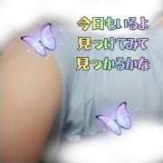 ヒメ日記 2026/07/09 09:45 投稿 花奈美（かなみ） 熟女の風俗最終章 大宮店