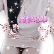 ヒメ日記 2026/07/11 09:25 投稿 花奈美（かなみ） 熟女の風俗最終章 大宮店