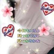 ヒメ日記 2026/07/11 11:47 投稿 花奈美（かなみ） 熟女の風俗最終章 大宮店