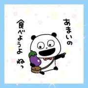 ヒメ日記 2026/08/25 22:05 投稿 花奈美（かなみ） 熟女の風俗最終章 大宮店