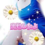 ヒメ日記 2026/08/26 09:25 投稿 花奈美（かなみ） 熟女の風俗最終章 大宮店