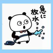 ヒメ日記 2026/09/02 11:25 投稿 花奈美（かなみ） 熟女の風俗最終章 大宮店