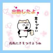 ヒメ日記 2026/09/07 09:55 投稿 花奈美（かなみ） 熟女の風俗最終章 大宮店