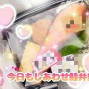 ヒメ日記 2026/09/13 14:48 投稿 花奈美（かなみ） 熟女の風俗最終章 大宮店