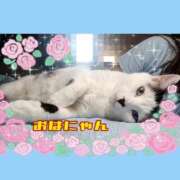 ヒメ日記 2026/09/20 04:45 投稿 花奈美（かなみ） 熟女の風俗最終章 大宮店