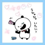 ヒメ日記 2026/09/22 17:24 投稿 花奈美（かなみ） 熟女の風俗最終章 大宮店
