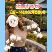 ヒメ日記 2026/10/17 11:47 投稿 花奈美（かなみ） 熟女の風俗最終章 大宮店