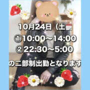 ヒメ日記 2026/10/24 03:35 投稿 花奈美（かなみ） 熟女の風俗最終章 大宮店