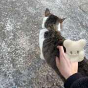 ヒメ日記 2025/02/27 00:26 投稿 いち 吉原ファーストレディ