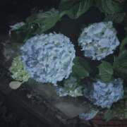 ヒメ日記 2025/06/05 22:46 投稿 いち 吉原ファーストレディ