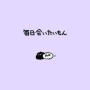 ヒメ日記 2025/07/13 16:46 投稿 いち 吉原ファーストレディ