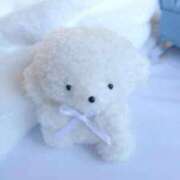 ヒメ日記 2025/07/15 18:56 投稿 いち 吉原ファーストレディ