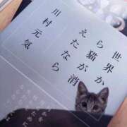 ヒメ日記 2025/08/26 21:06 投稿 いち 吉原ファーストレディ