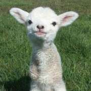 ヒメ日記 2025/09/01 16:42 投稿 いち 吉原ファーストレディ