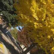 ヒメ日記 2025/11/17 12:46 投稿 いち 吉原ファーストレディ