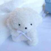 いち ごめんなさい(˘•̥⧿•̥˘ ) 吉原ファーストレディ