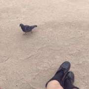 いち へいわ🕊️.° 吉原ファーストレディ