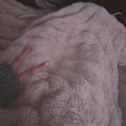 ヒメ日記 2026/01/12 00:16 投稿 いち 吉原ファーストレディ