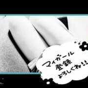 ヒメ日記 2025/03/04 14:52 投稿 すい 至福の密着エステ&禁断のM性感 Luxeaz