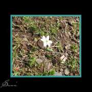 ヒメ日記 2025/03/23 11:42 投稿 すい 至福の密着エステ&禁断のM性感 Luxeaz