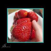 ヒメ日記 2025/03/30 20:50 投稿 すい 至福の密着エステ&禁断のM性感 Luxeaz