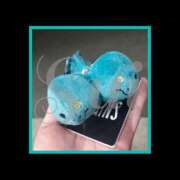 ヒメ日記 2025/11/13 13:44 投稿 すい 至福の密着エステ&禁断のM性感 Luxeaz